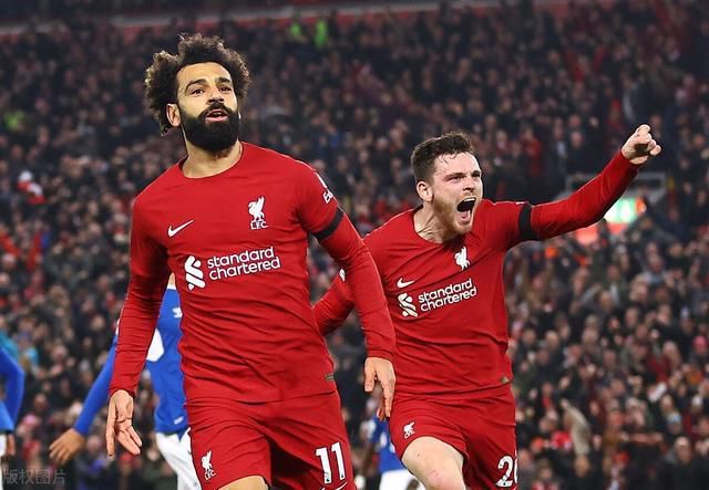 以法为名电视剧在线观看免费高清星辰影院